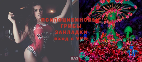 амф Семилуки
