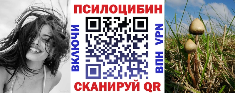 Псилоцибиновые грибы Cubensis  KRAKEN   Зеленодольск 